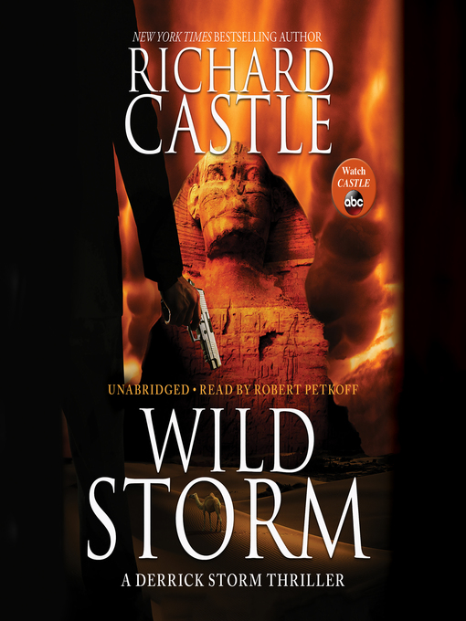 Cover image for Wild Storm